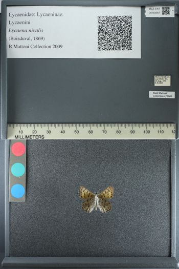 Media type: image;   Entomology 183587